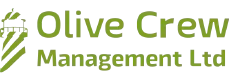 Логотип Olive Crew